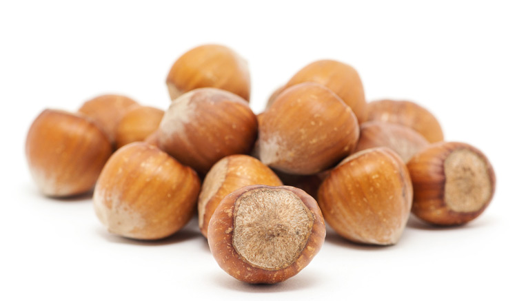 wholesale hazelnuts