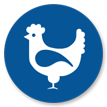 Wholesale Chicken, Poultry Wholesale, Wholesale Poultry