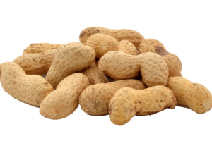 wholesale peanuts