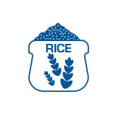wholesale organic rice