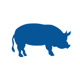 wholesale pork products