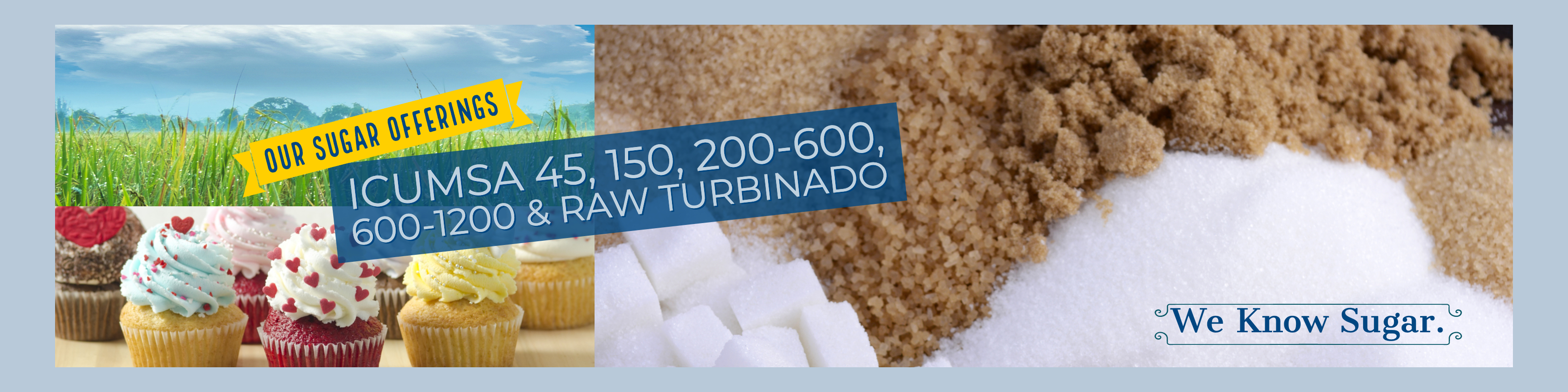 Bulk Wholesale Raw Sugar Products