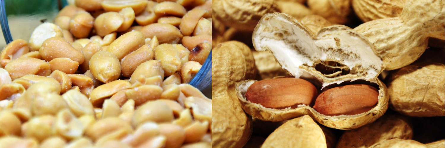 wholesale peanuts