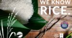 wholesale rice products