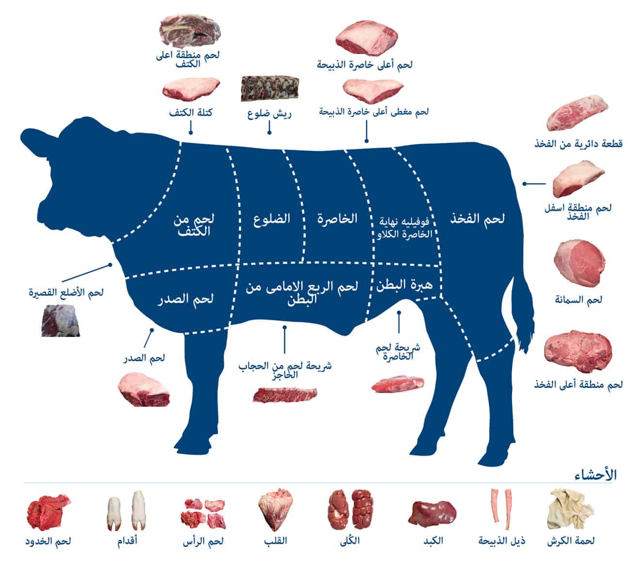 wholesale beef products