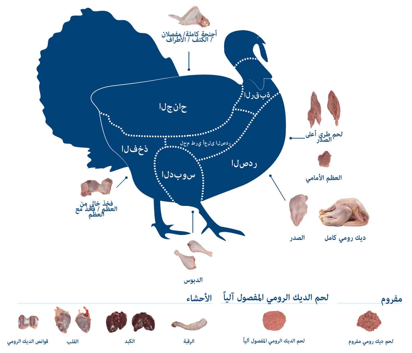 wholesale turkey products