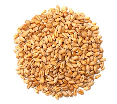 Wheat grain products