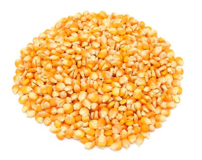 Corn grain products