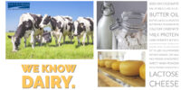 Interra International | Quality Dairy Products