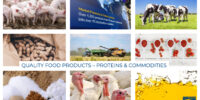 Interra International | Proteins & Commodities