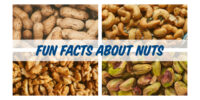 Interra International | Global Trader of Wholesale and Bulk Nuts