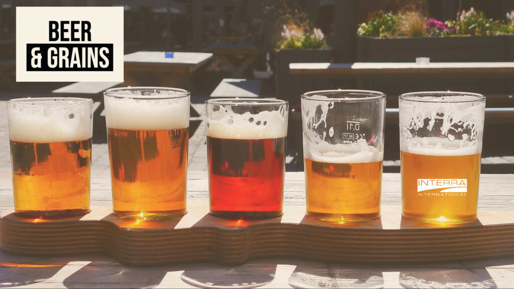 Interra International | Global Trader of Wholesale Grain Products