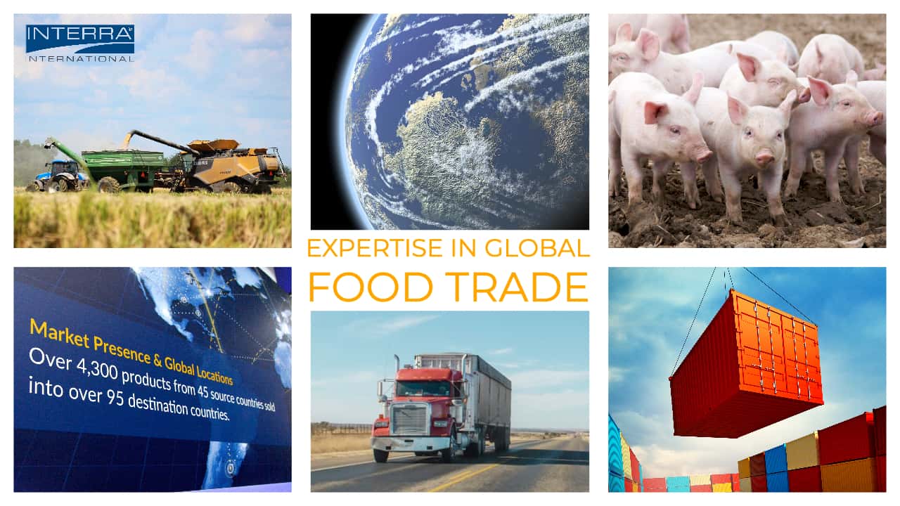 Interra International | Global Food Trade