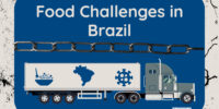 Interra International | Food Challenges In Brazil