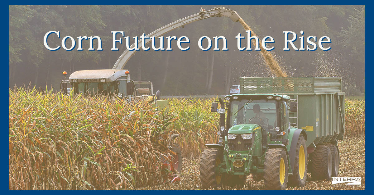 Interra International | Corn Industry News