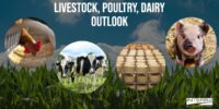 Interra International | Poultry And Dairy Outlook