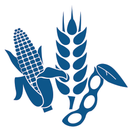 Icon of different grains